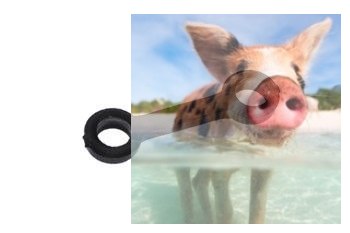 Klamra łącząca - S111G-05B