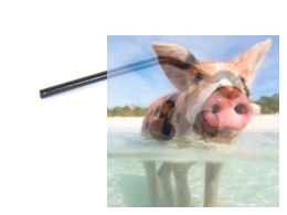 Mocowanie rury wydechowej + śrubka z nakrętką 1 kpl. - 02059