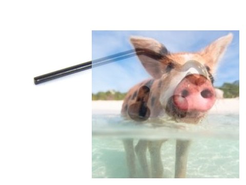 Mocowanie rury wydechowej + śrubka z nakrętką 1 kpl. - 02059