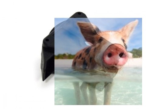 Mocowanie środkowego dyferencjału (przód/tył) 2 szt. - 02006