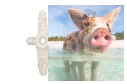 Orczyki do serwa SG-50