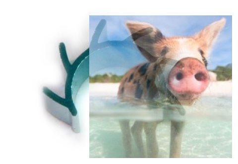 Radiator silnika ogonowego - 002447