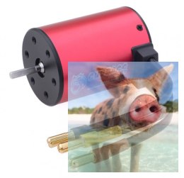 Silnik bezszczotkowy Rocket 3650 3600KV wodoodporny