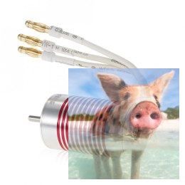 Silnik bezszczotkowy Rocket Platinum 2845 2600KV wodoodporny