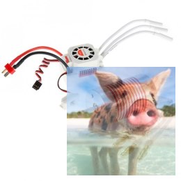 Silnik bezszczotkowy Rocket Platinum 2845 3800KV + ESC 45A