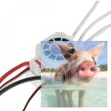 Silnik bezszczotkowy Rocket Platinum 2845 3930KV + ESC 45A