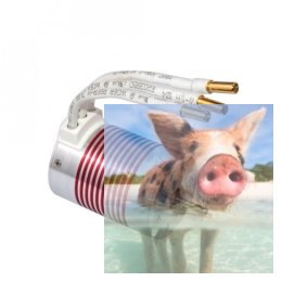 Silnik bezszczotkowy Rocket Platinum 3650 4300KV wodoodporny