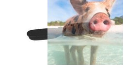 Śmigło ogonowe - S111G-03B