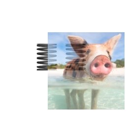 Sprężyny przedniego amortyzatora 2 szt.