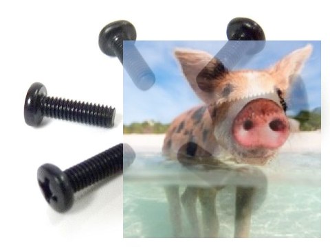 Śruby z łbem kulistym 3x10 6 szt. - 31053