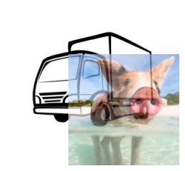 Transport 0%
