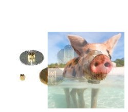 Tryby do serwa MG-16R