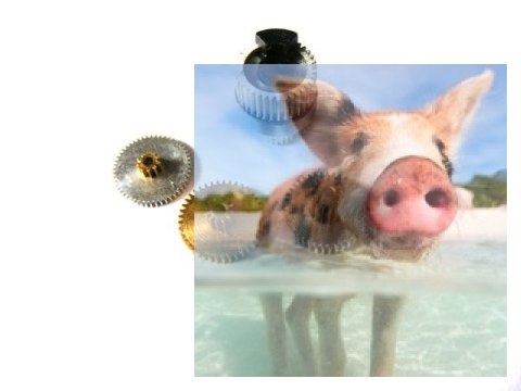 Tryby do serwa MG-90S